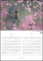 3・4月